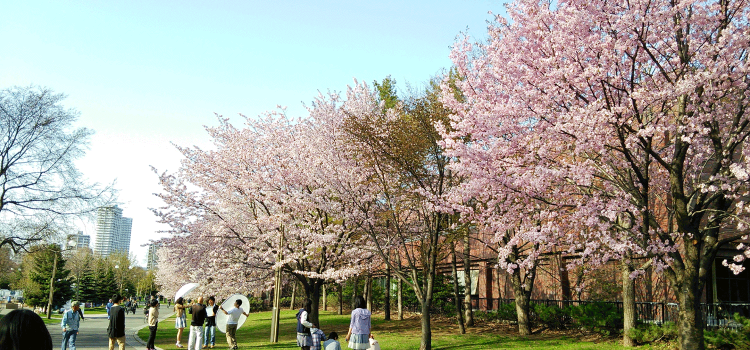 2015年4.5月サイクリングスケジュール