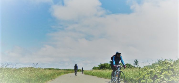 初夏の北海道をロードバイクでサイクリング！2017年6月の開催スケジュール