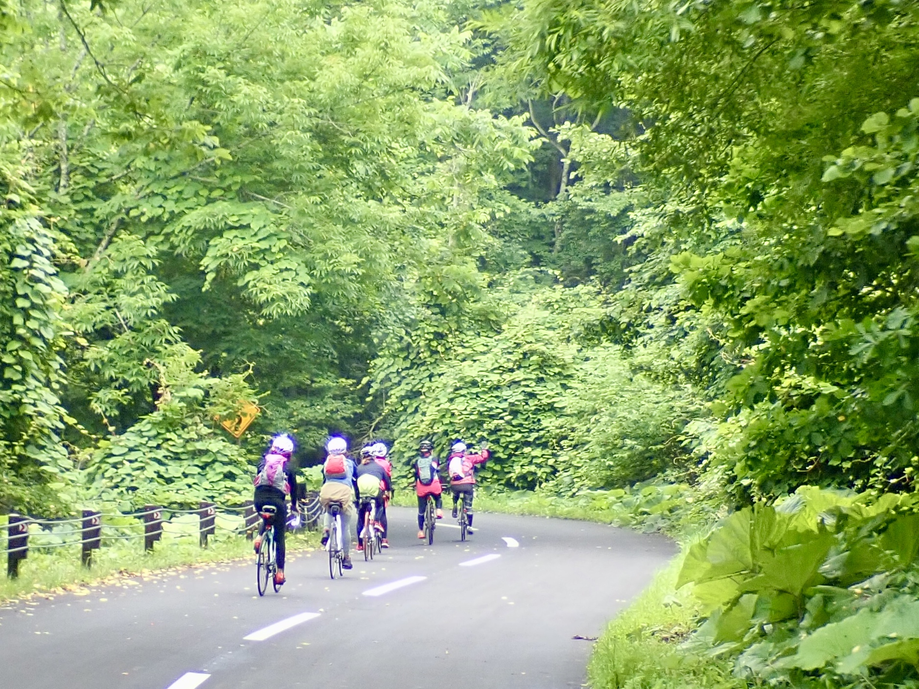 釧路湿原＆鶴居村で自然満喫サイクリング！?ガールズライドin鶴居2019 